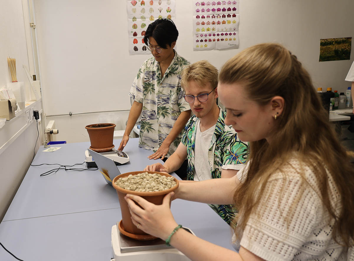 Team Gartenbau analysiert geeignete Substrate