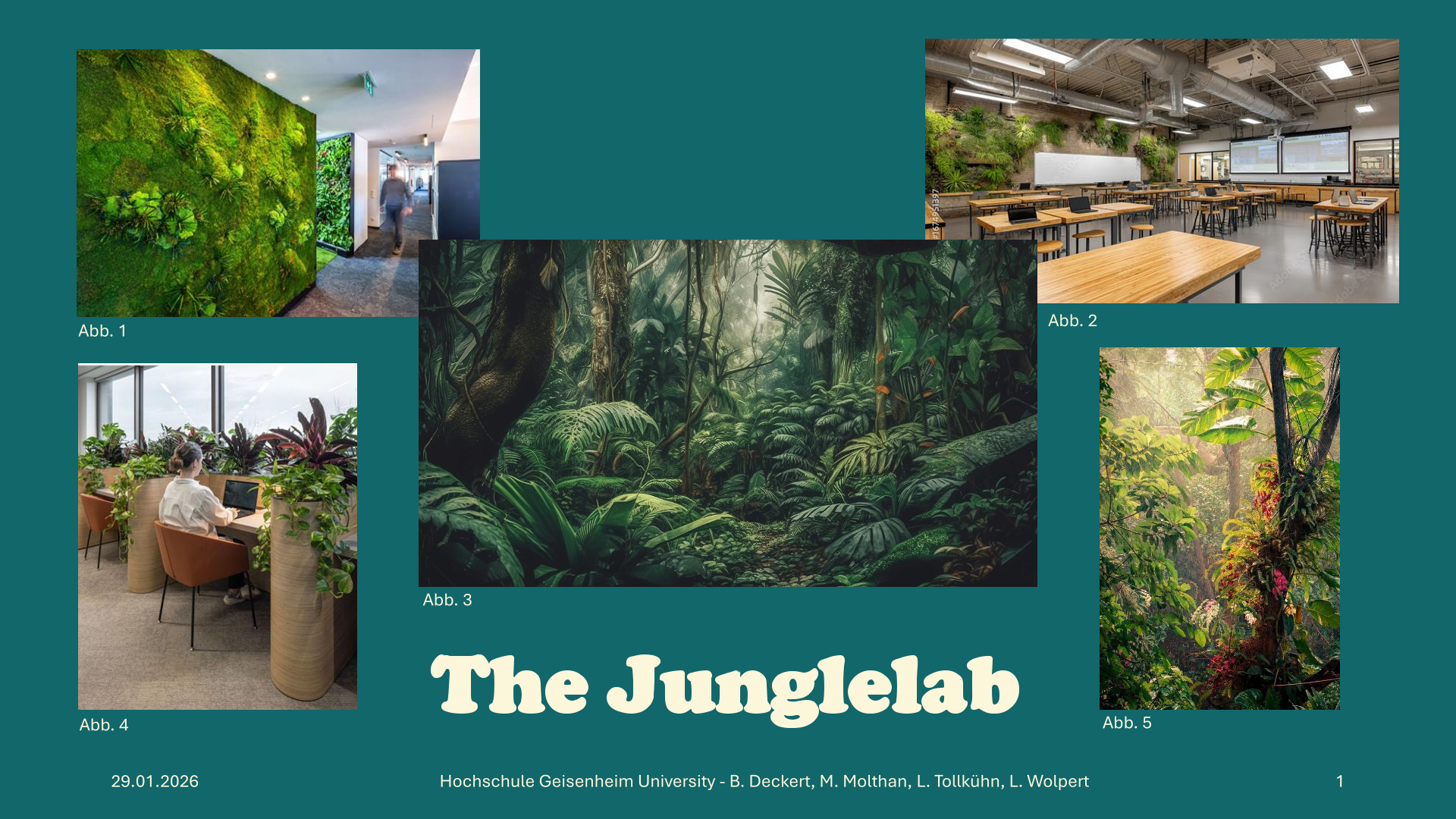 The Junglelab
